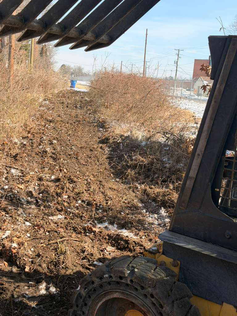 Stump grinding project